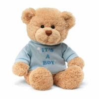 It's a Boy Plush Teddy by Gund®